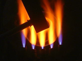 �t�����W�摜